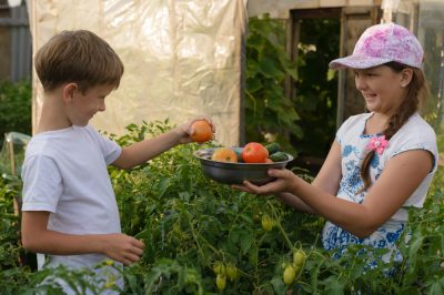 Come las ortigas: deliciosas verduras de hoja de la naturaleza.