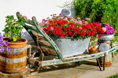 Todo lo que te guste de la decoración del estanque del jardín está permitido.