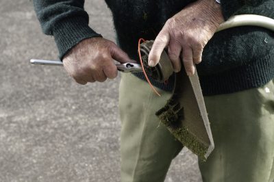 Cornejo de alfombra: una cubierta de suelo floreciente y densamente creciente