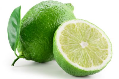 Consejos para un jardín apto para erizos