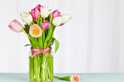 Cuidando adecuadamente los tulipanes en el jarrón: una guía completa