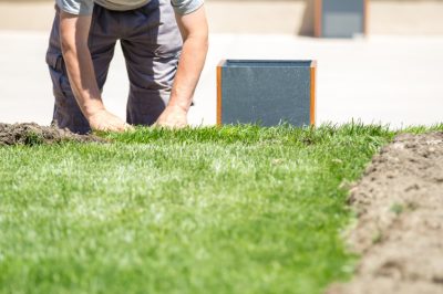 ¿Césped o prado? Cómo crear un oasis floreciente en tu jardín