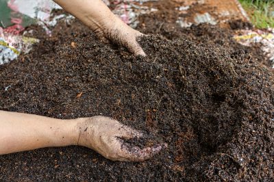 Excelentes consejos sobre cómo hacer su propia tierra para macetas