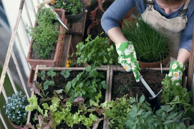 Las mejores ideas para el jardín del balcón.