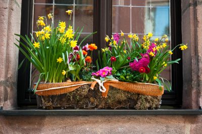 Ambiente primaveral en el palco del balcón: con estas plantas funciona