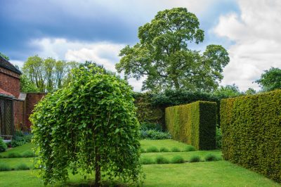 Jardín inglés: inspiraciones para un estilo de jardín fascinante