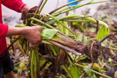 Nivele el suelo del jardín: así es como adquiere la forma deseada