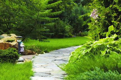 ¿Cómo hago un camino de jardín con piedras?